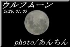 184042_1.jpg  : 22 KB