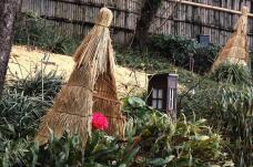 184043_2.jpg  : 176 KB