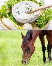 184052_2.jpg  : 149 KB