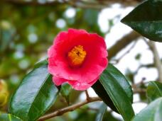 184056_1.jpg  : 61 KB