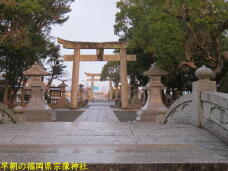 184071_1.jpg  : 70 KB