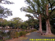 184071_3.jpg  : 84 KB