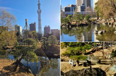 184078_1.jpg  : 882 KB