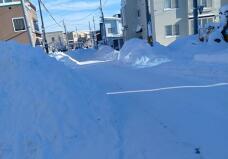 184079_1.jpg  : 28 KB