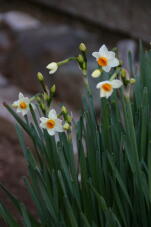 184080_1.jpg  : 46 KB