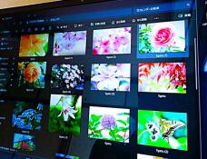 184081_1.jpg  : 111 KB