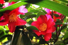 184103_1.jpg  : 145 KB