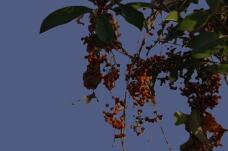 184106_1.jpg  : 47 KB