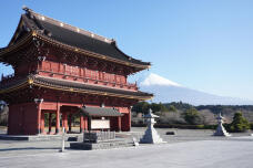 184117_1.jpg  : 195 KB