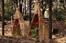 184129_2.jpg  : 177 KB