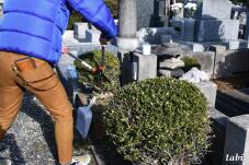 184130_7.jpg  : 94 KB