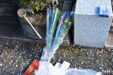 184130_8.jpg  : 127 KB