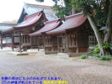 184131_2.jpg  : 69 KB