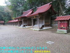 184131_3.jpg  : 87 KB