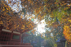 184151_1.jpg  : 378 KB