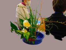 184157_2.jpg  : 56 KB