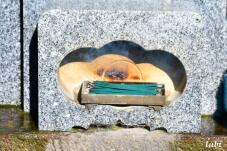 184163_6.jpg  : 97 KB