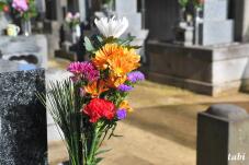 184163_7.jpg  : 65 KB