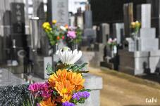 184163_8.jpg  : 61 KB