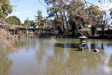 184171_1.jpg  : 126 KB