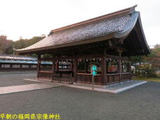 184181_1.jpg  : 53 KB