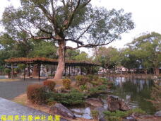 184181_3.jpg  : 92 KB