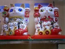 184192_1.jpg  : 398 KB