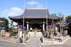 184202_1.jpg  : 100 KB