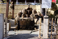 184202_3.jpg  : 125 KB