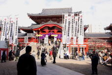 184213_2.jpg  : 176 KB