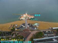 184215_2.jpg  : 46 KB