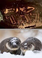 184220_2.jpg  : 197 KB