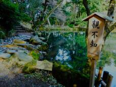 184226_1.jpg  : 111 KB