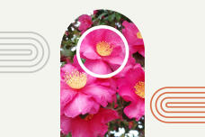 184257_1.jpg  : 122 KB