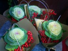 184259_1.jpg  : 123 KB