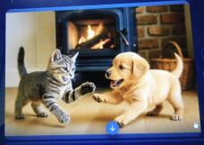 184263_1.jpg  : 64 KB