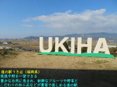 184265_3.jpg  : 53 KB