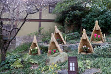 184271_2.jpg  : 149 KB