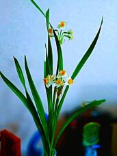 184274_1.jpg  : 61 KB