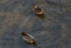 184277_2.jpg  : 88 KB