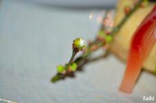 184282_4.jpg  : 21 KB