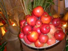 184295_2.jpg  : 122 KB