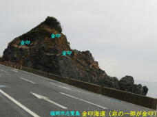 184299_3.jpg  : 40 KB