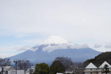 184302_1.jpg  : 87 KB