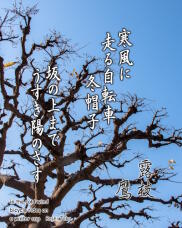 184307_1.jpg  : 266 KB