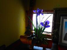 184322_1.jpg  : 61 KB