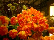 184328_1.jpg  : 168 KB