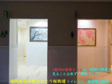 184333_3.jpg  : 41 KB