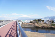 184350_1.jpg  : 135 KB