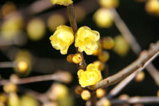 184352_3.jpg  : 49 KB